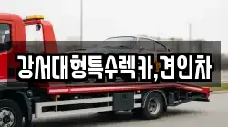 강서대형특수렉카,견인차