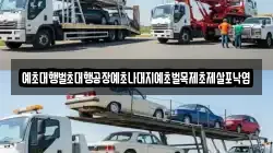 예초대행벌초대행공장예초나대지예초벌목제초제살포낙엽