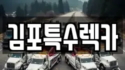김포특수렉카