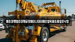 예초대행벌초대행공장예초나대지예초벌목제초제살포낙엽