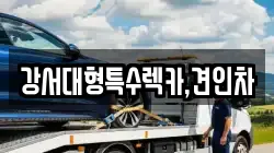 강서대형특수렉카,견인차