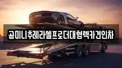 경기 성남시 렉카, 특수렉카, 차량탁송, 견인운송