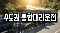 수도권 통합대리운전