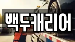백두캐리어
