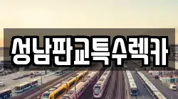 성남판교특수렉카