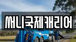 써니국제캐리어