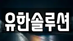 유한솔루션