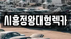 경기 시흥시 도창동 렉카, 특수렉카, 차량탁송, 견인운송