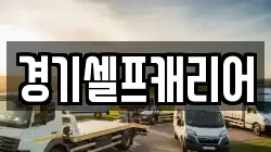 경기셀프캐리어