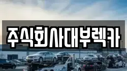 주식회사대부렉카