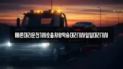빠른대리운전기사호출차량탁송대리기사일일대리기사