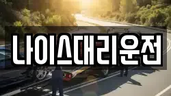 나이스대리운전
