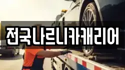전국나르니카캐리어