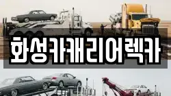 경기 안산시 상록구 팔곡이동 렉카, 특수렉카, 차량탁송, 견인운송