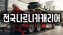전국나르니카캐리어