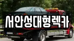 서안성대형렉카