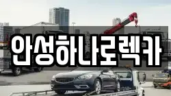 안성하나로렉카