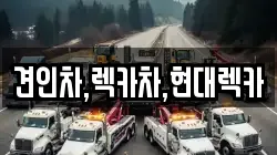 경기 양주시 옥정동 렉카, 특수렉카, 차량탁송, 견인운송