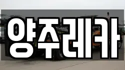 양주레카