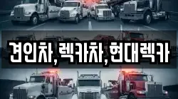 경기 양주시 회정동 렉카, 특수렉카, 차량탁송, 견인운송