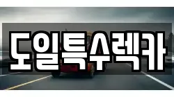 도일특수렉카
