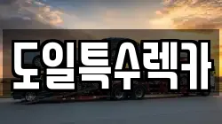 도일특수렉카