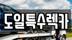 도일특수렉카