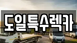 도일특수렉카