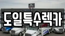 도일특수렉카
