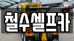 철수셀프카