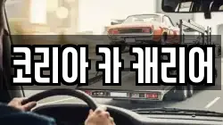코리아 카 캐리어