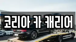 코리아 카 캐리어