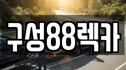 구성88렉카