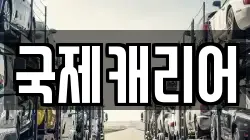 국제캐리어