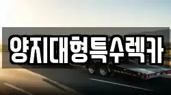양지대형특수렉카