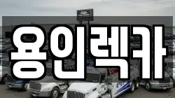 용인렉카
