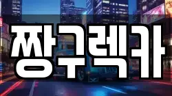 경기 용인시 처인구 이동읍 렉카, 특수렉카, 차량탁송, 견인운송