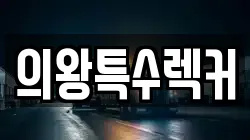 의왕특수렉커