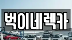 벅이네렉카