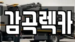 경기 이천시 장호원읍 렉카, 특수렉카, 차량탁송, 견인운송