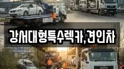 강서대형특수렉카,견인차