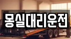 몽실대리운전