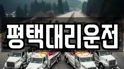 평택대리운전