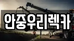 안중우리렉카