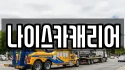 나이스카캐리어