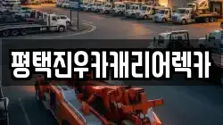 경기 평택시 렉카, 특수렉카, 차량탁송, 견인운송