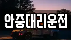 안중대리운전