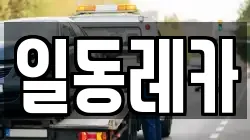일동레카