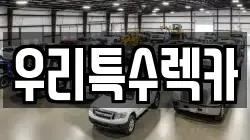 우리특수렉카