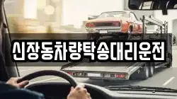 신장동차량탁송대리운전